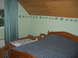 948456.jpg